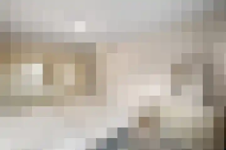 Martinus Nijhofflaan 19 Roosendaal thumbnail 26
