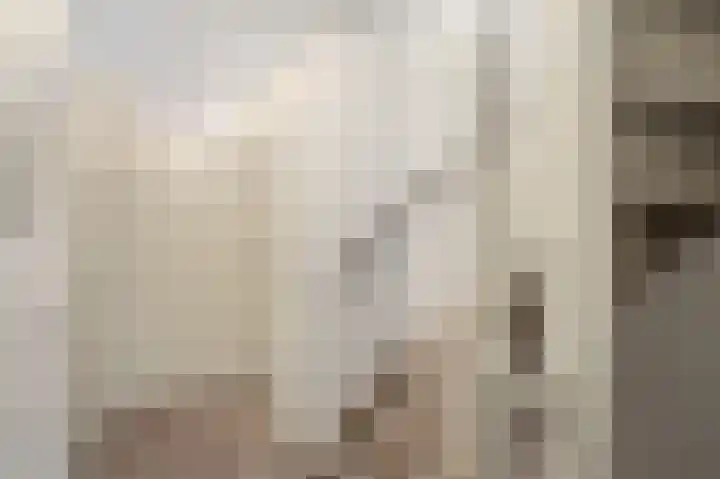 Martinus Nijhofflaan 19 Roosendaal thumbnail 35