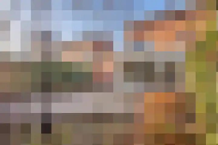 Martinus Nijhofflaan 19 Roosendaal thumbnail 47
