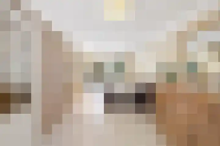 Martinus Nijhofflaan 19 Roosendaal thumbnail 8