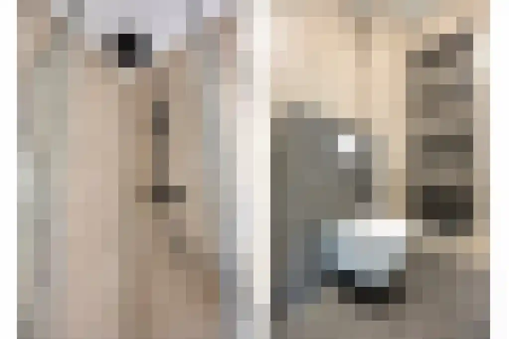 Martinus Nijhofflaan 2 Delft thumbnail 6