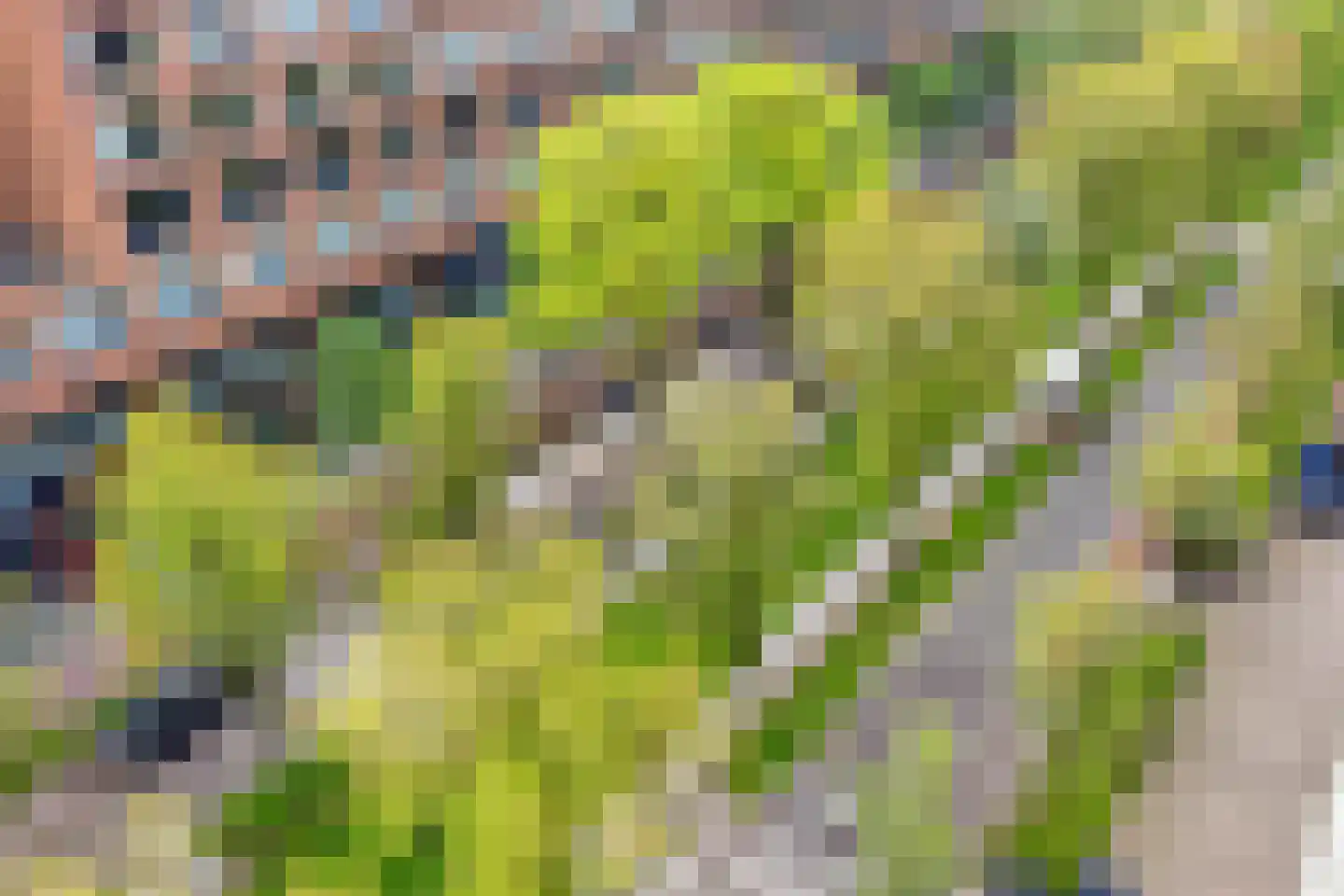 Martinus Nijhofflaan 200 Delft thumbnail 30