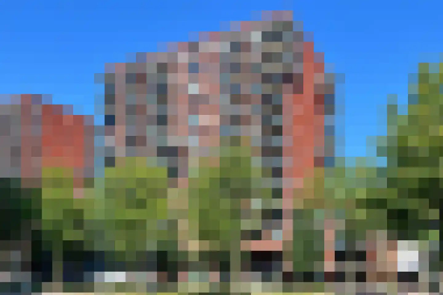 Martinus Nijhofflaan 210 Delft thumbnail 6
