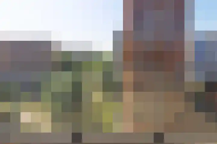 Martinus Nijhofflaan 238 Delft thumbnail 22