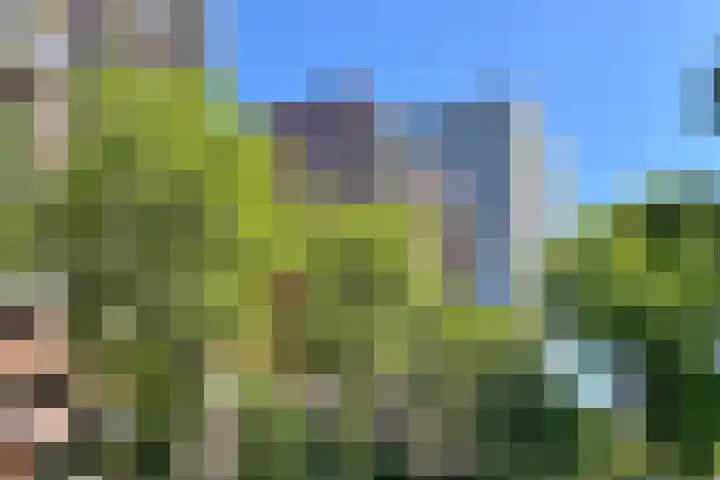 Martinus Nijhofflaan 238 Delft thumbnail 29