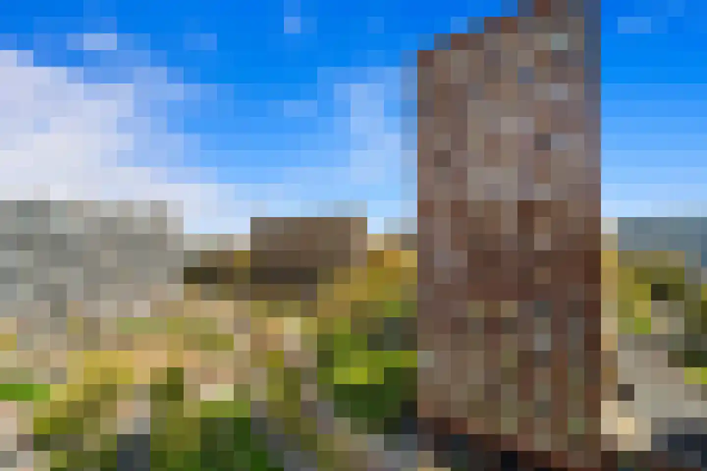 Martinus Nijhofflaan 242 Delft thumbnail 13