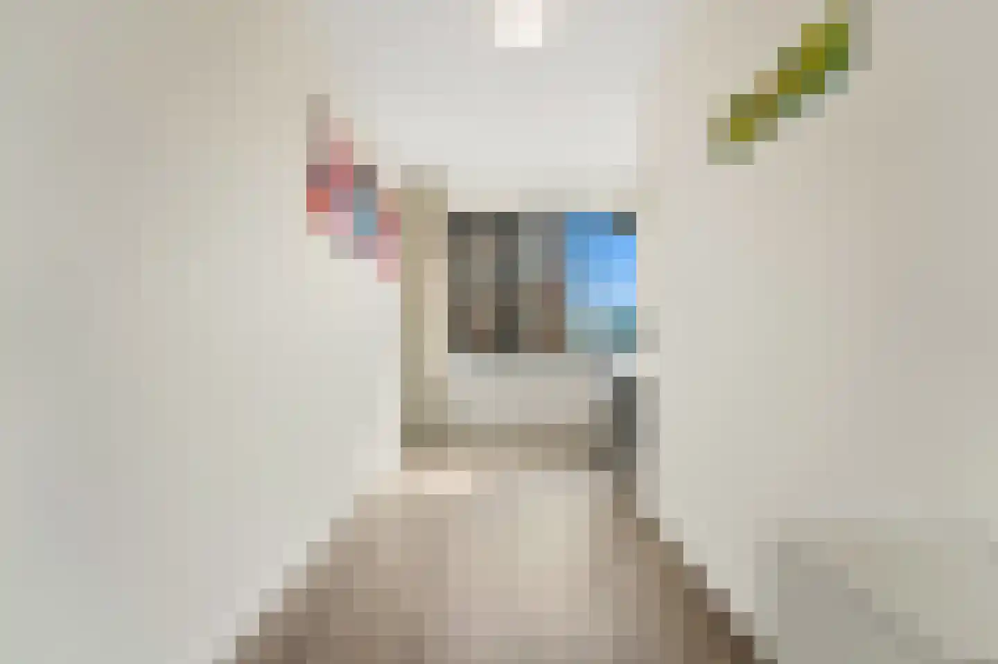 Martinus Nijhofflaan 242 Delft thumbnail 19
