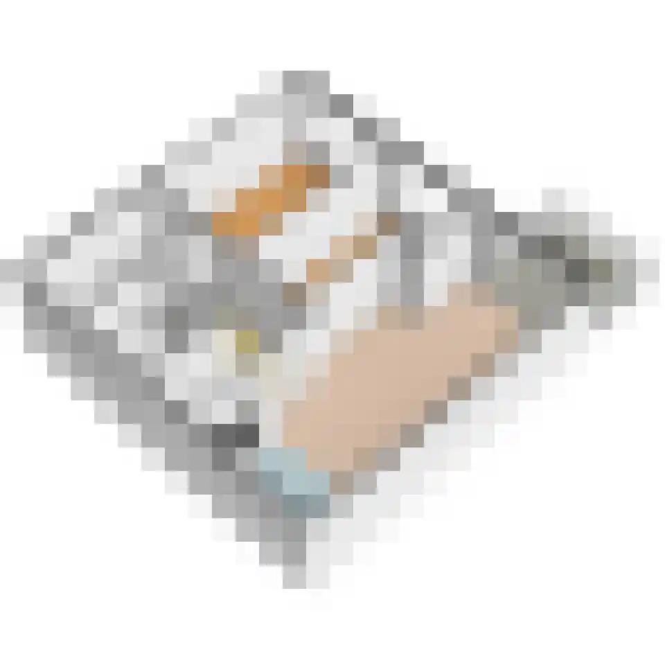 Martinus Nijhofflaan 242 Delft thumbnail 30