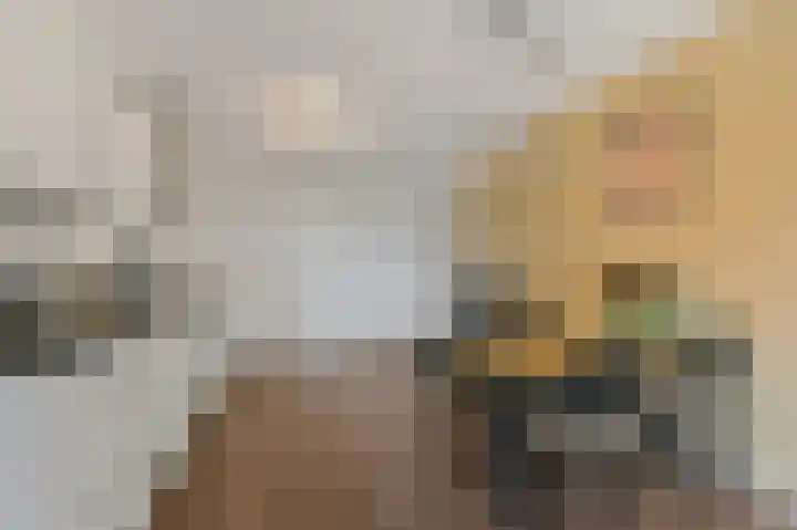 Martinus Nijhofflaan 244 Delft thumbnail 12