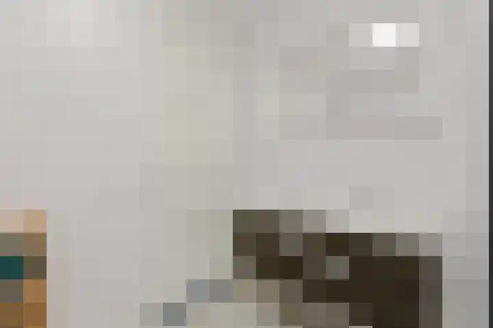 Martinus Nijhofflaan 244 Delft thumbnail 17