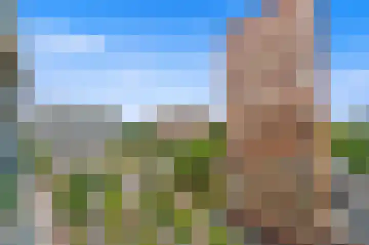 Martinus Nijhofflaan 244 Delft thumbnail 22