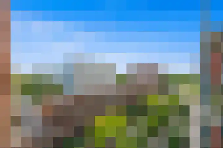 Martinus Nijhofflaan 244 Delft thumbnail 23