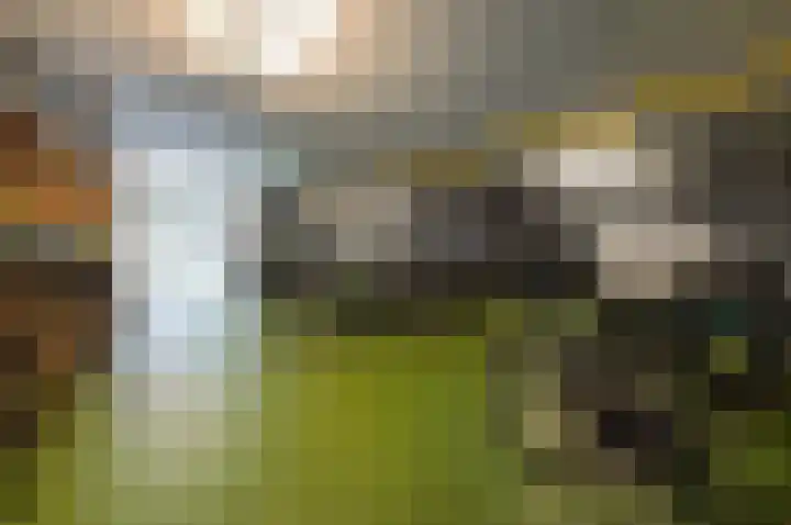 Martinus Nijhofflaan 244 Delft thumbnail 24