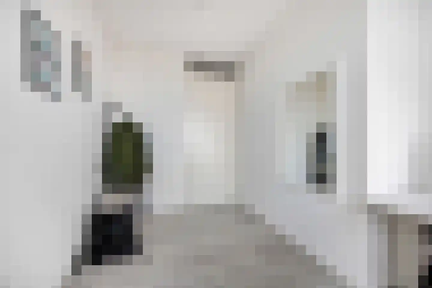 Martinus Nijhofflaan 262 Delft thumbnail 11