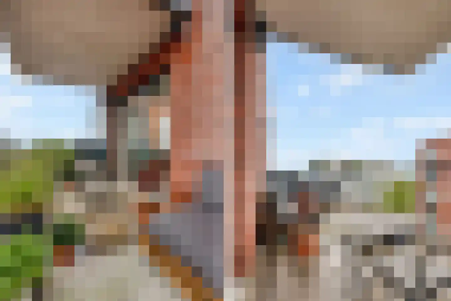 Martinus Nijhofflaan 262 Delft thumbnail 21