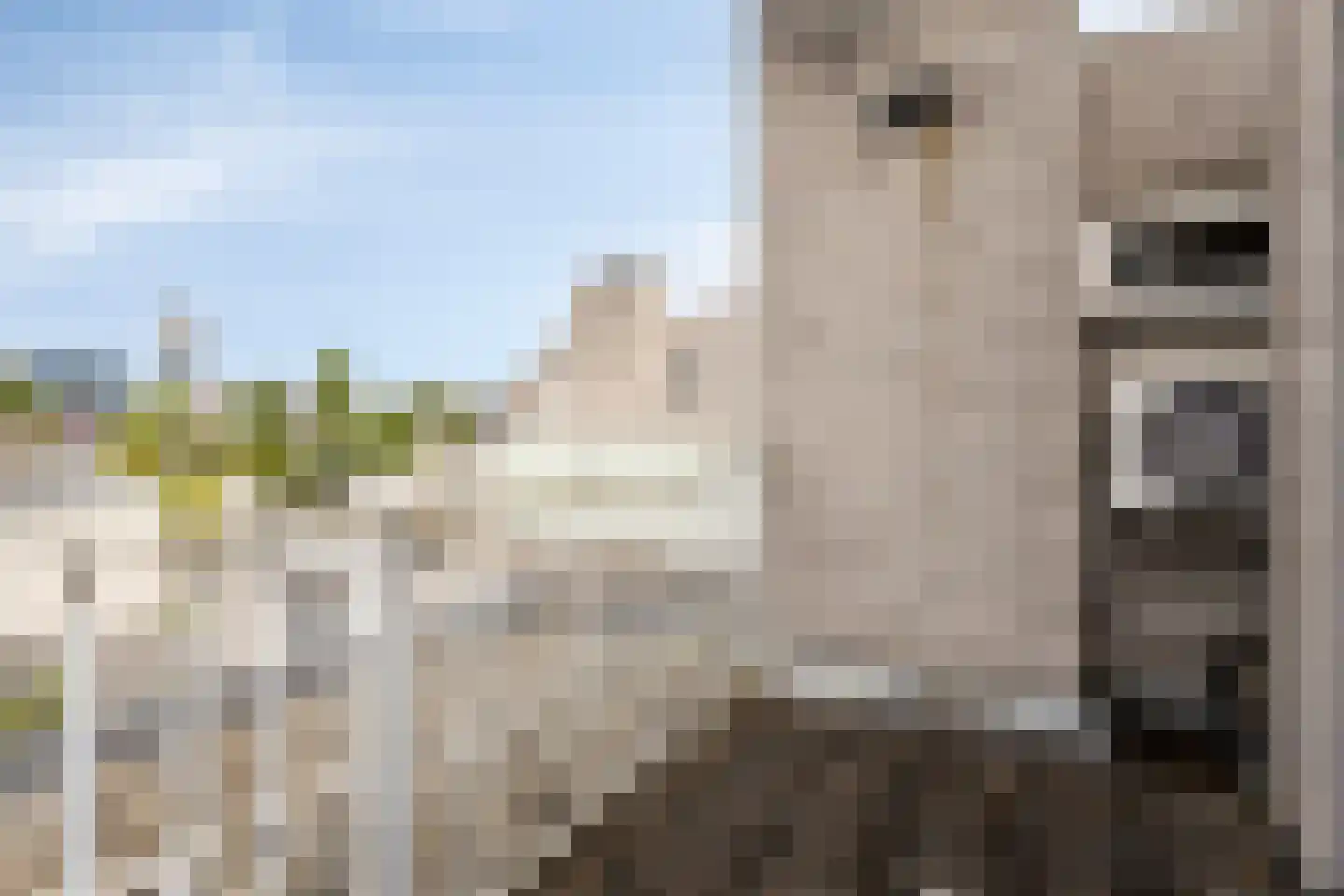 Martinus Nijhofflaan 27 Kloetinge thumbnail 20
