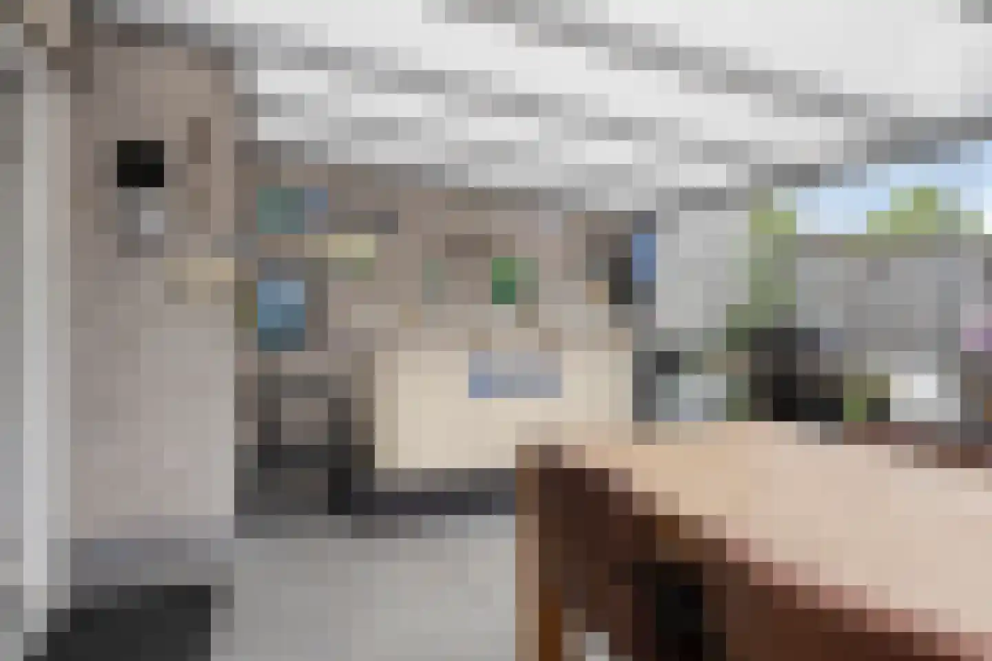 Martinus Nijhofflaan 27 Kloetinge thumbnail 28