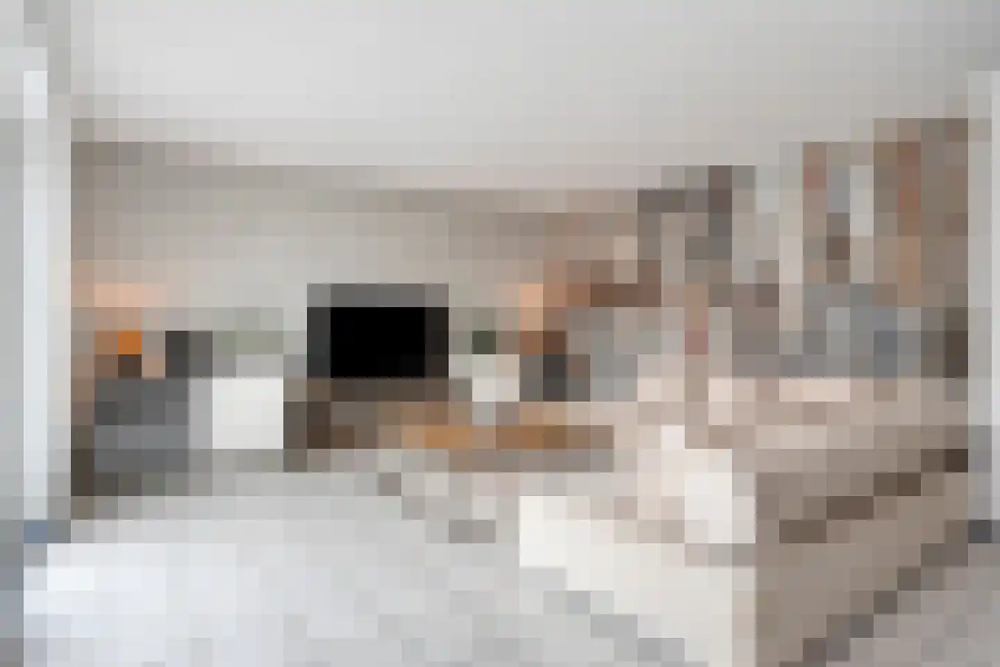 Martinus Nijhofflaan 27 Kloetinge thumbnail 6