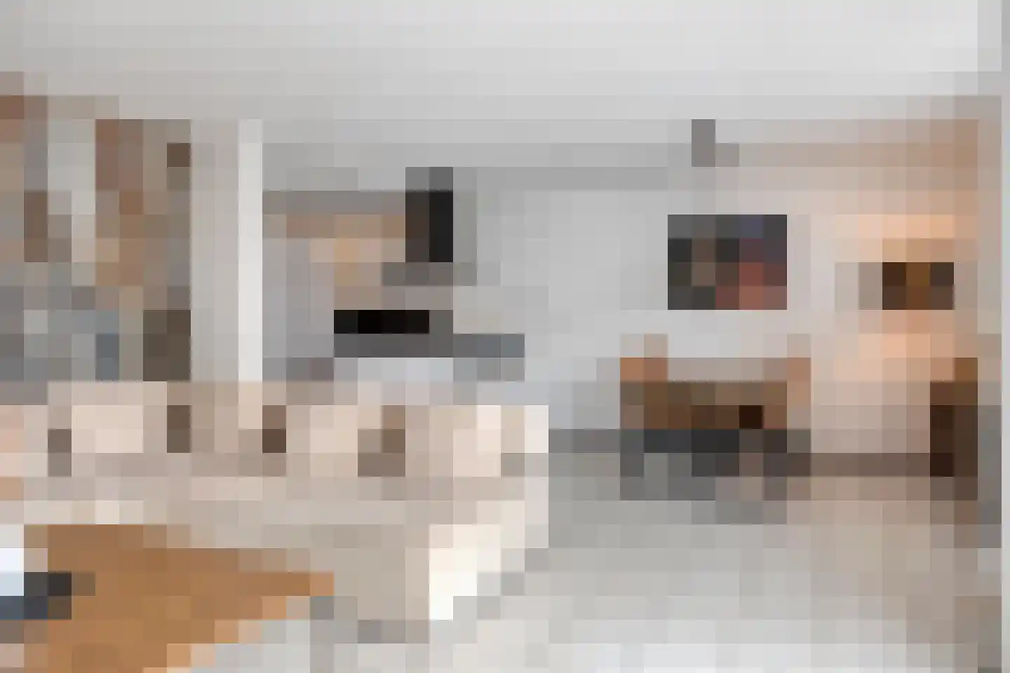 Martinus Nijhofflaan 27 Kloetinge thumbnail 7