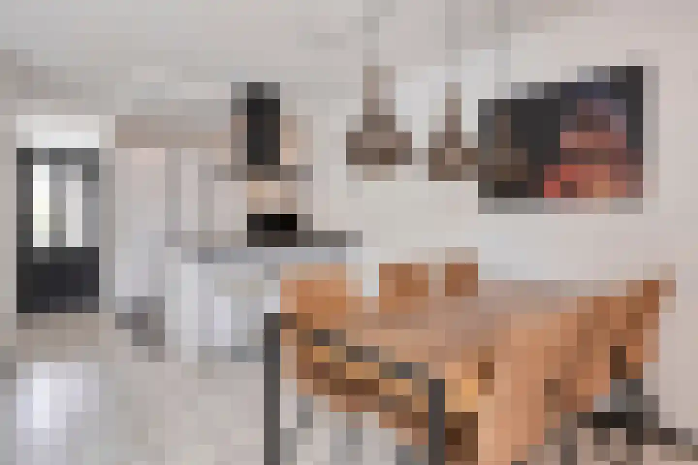 Martinus Nijhofflaan 27 Kloetinge thumbnail 9