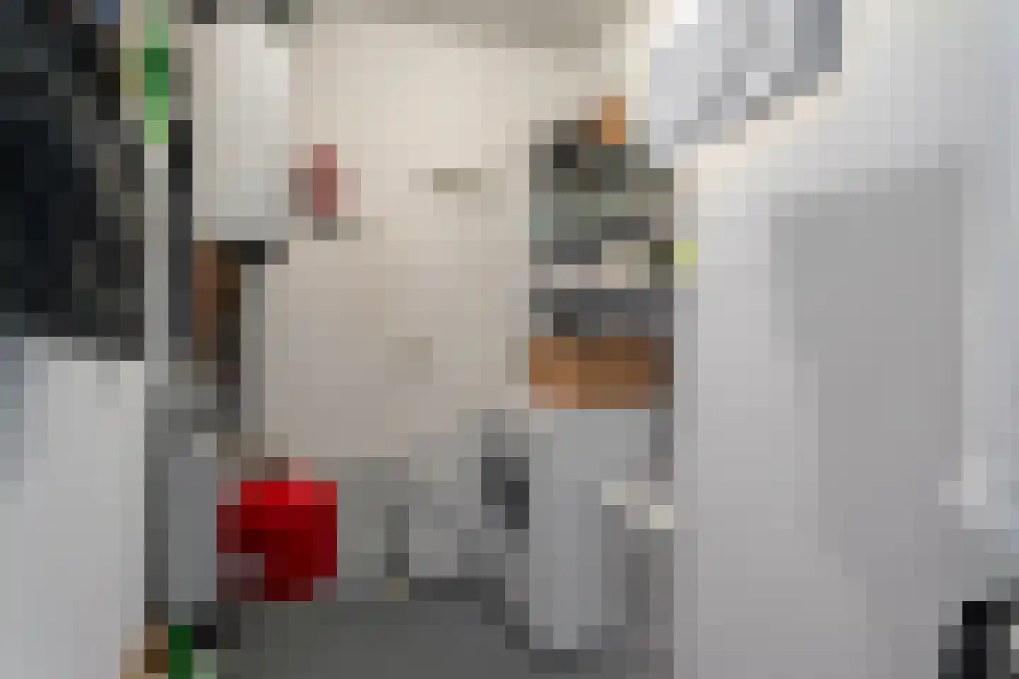 Martinus Nijhofflaan 31 Kloetinge thumbnail 23