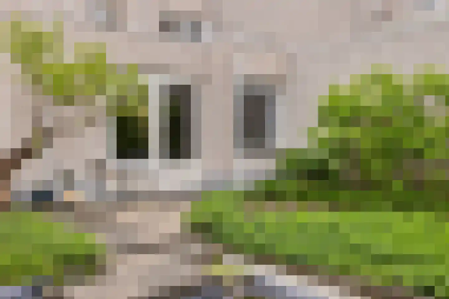 Martinus Nijhofflaan 31 Kloetinge thumbnail 26