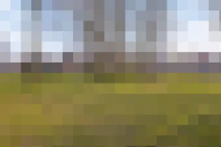 Martinus Nijhofflaan 43 Kloetinge thumbnail 32