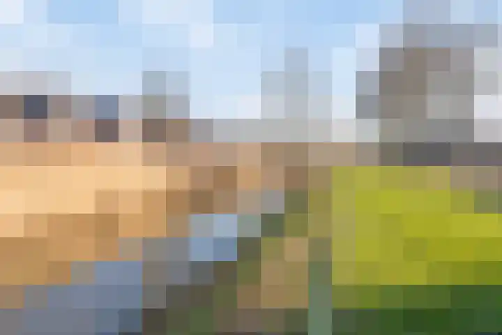 Martinus Nijhofflaan 43 Kloetinge thumbnail 34