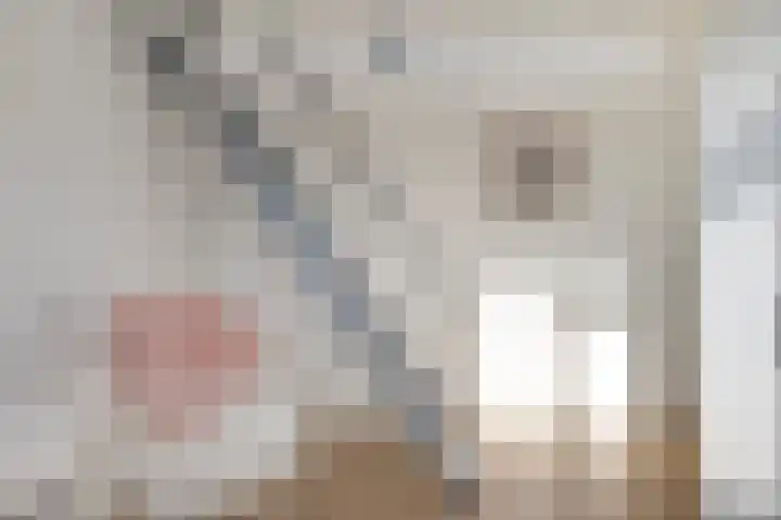 Martinus Nijhofflaan 51 Kloetinge thumbnail 22