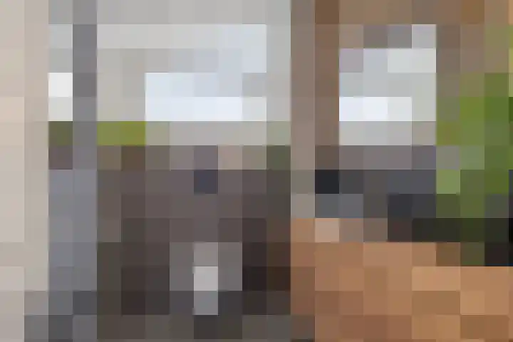 Martinus Nijhofflaan 51 Kloetinge thumbnail 24