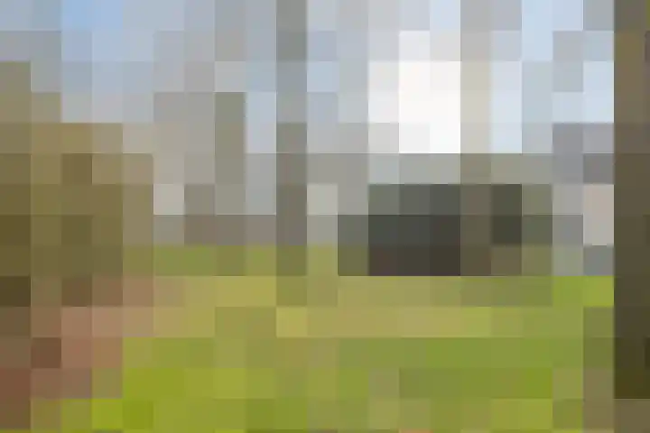 Martinus Nijhofflaan 51 Kloetinge thumbnail 28