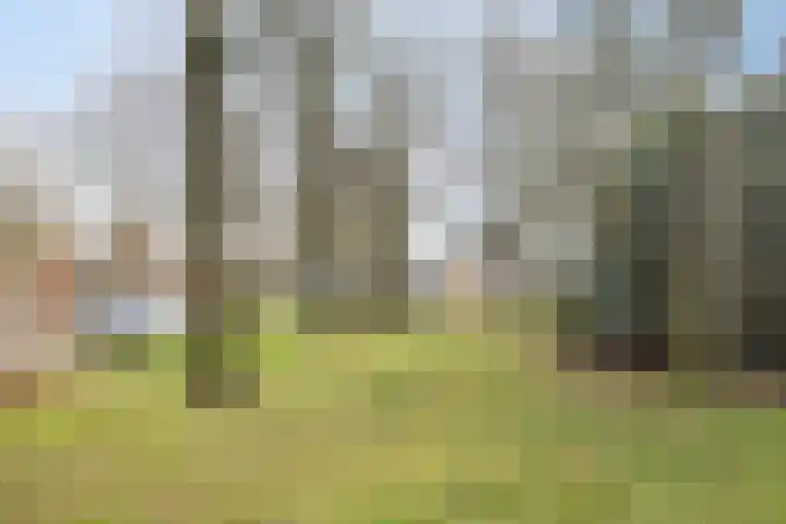 Martinus Nijhofflaan 51 Kloetinge thumbnail 29