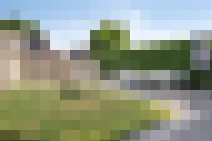 Martinus Nijhofflaan 77 Kloetinge thumbnail 32