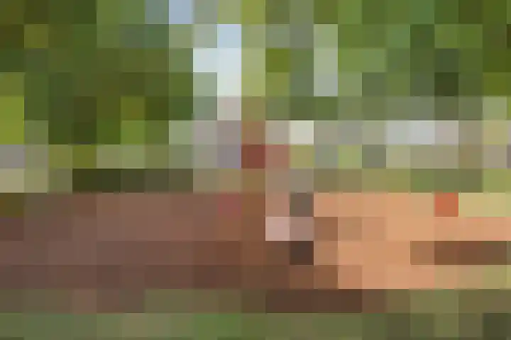 Martinus Nijhofflaan 77 Kloetinge thumbnail 39