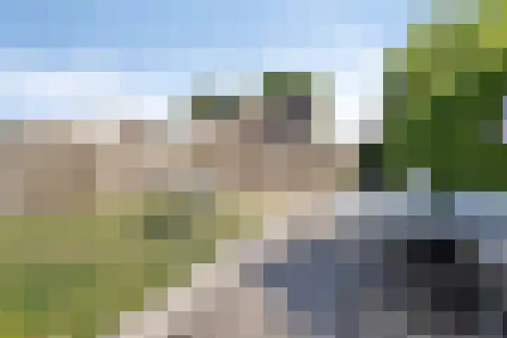 Martinus Nijhofflaan 77 Kloetinge thumbnail 4