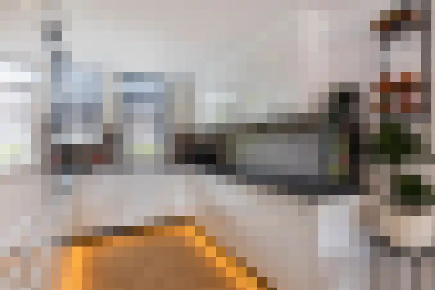 Martinus Nijhoffplantsoen 21 Rotterdam thumbnail 15