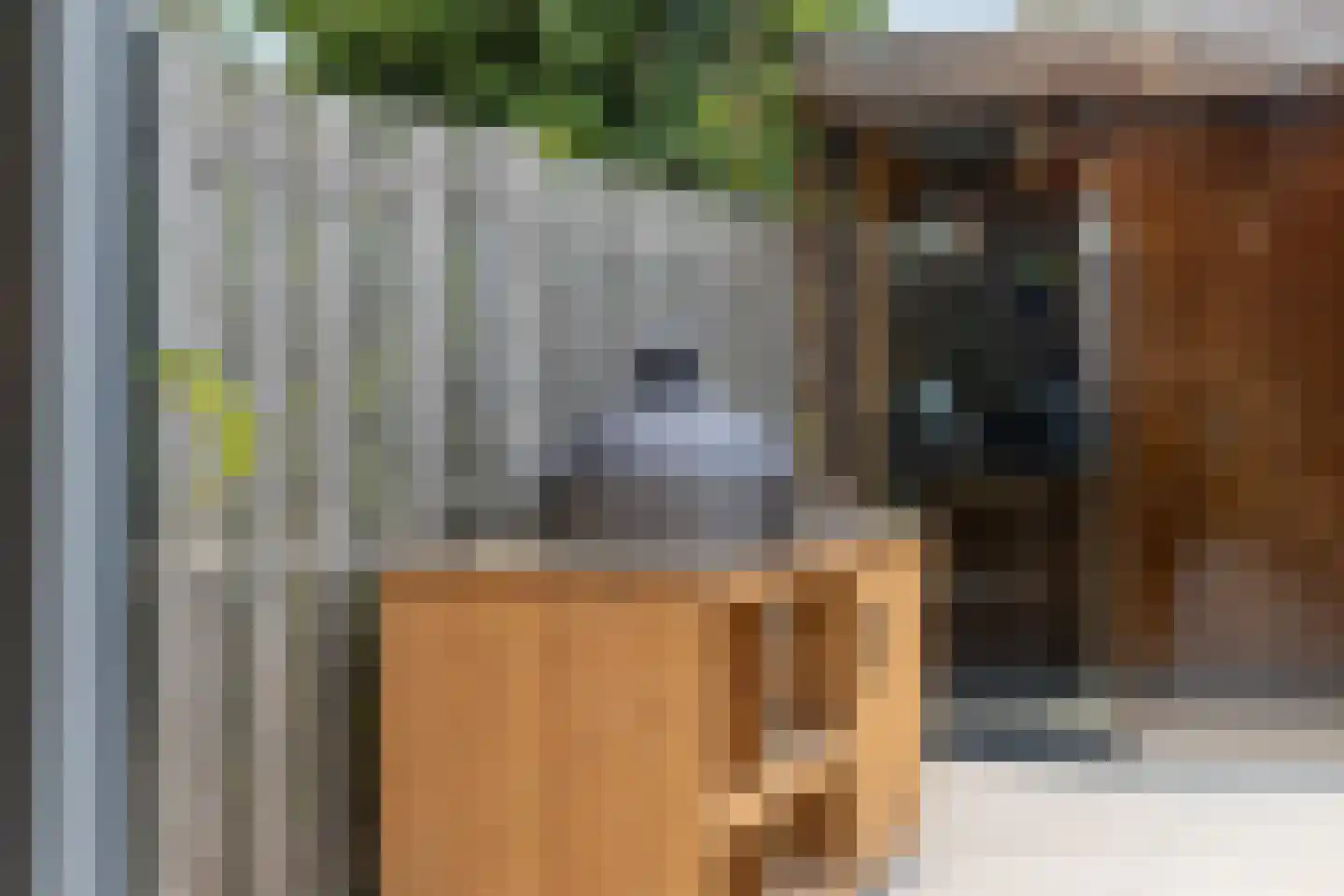 Martinus Nijhoffplantsoen 21 Rotterdam thumbnail 21
