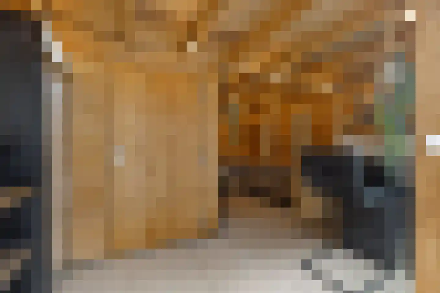 Martinus Nijhoffplantsoen 21 Rotterdam thumbnail 23