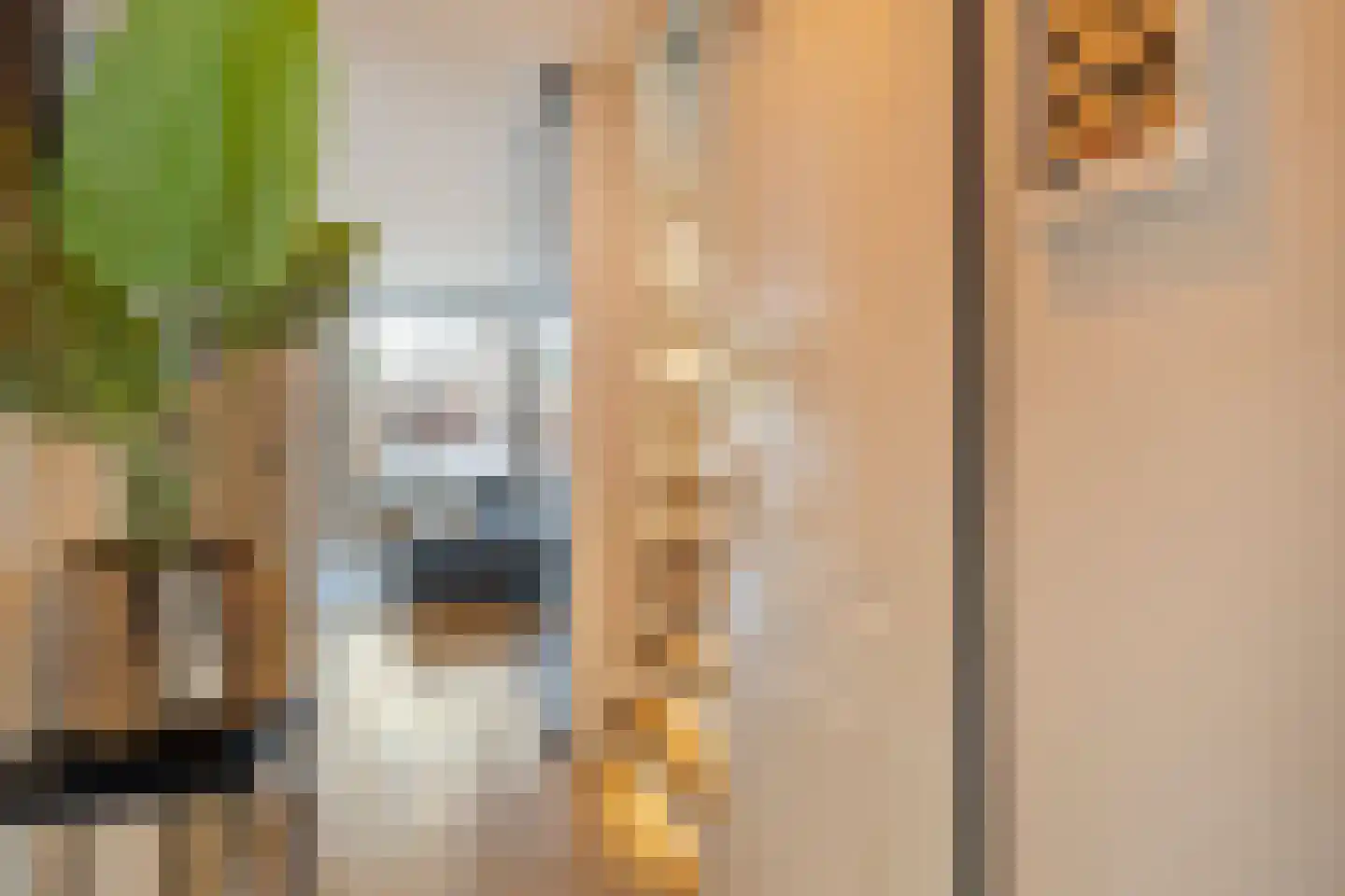 Martinus Nijhoffplantsoen 21 Rotterdam thumbnail 26