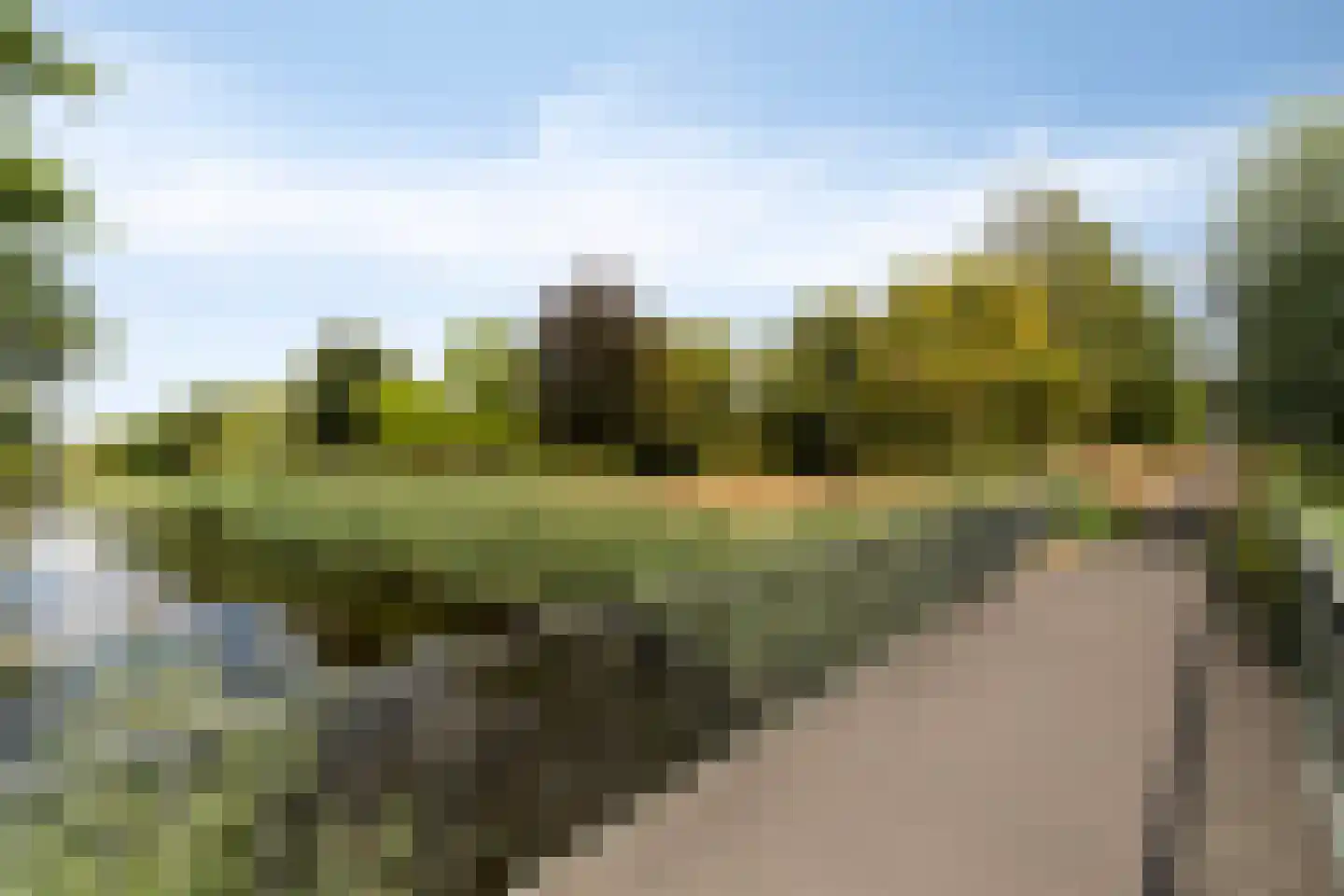 Martinus Nijhoffplantsoen 21 Rotterdam thumbnail 43