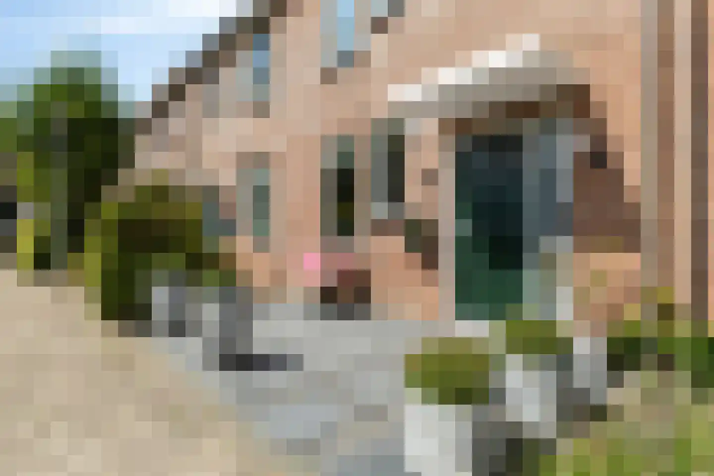 Martinus Nijhoffplantsoen 21 Rotterdam thumbnail 5