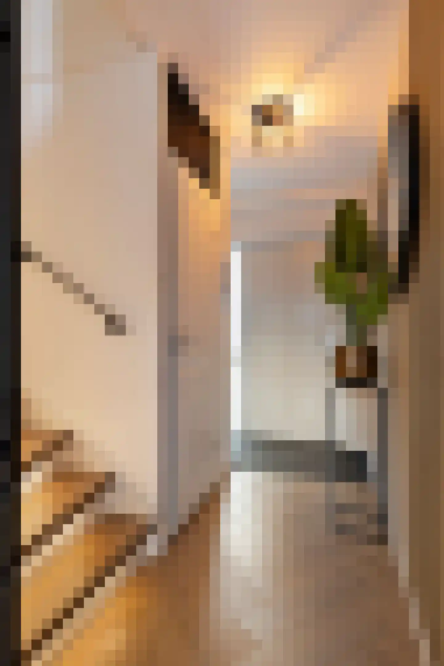 Martinus Nijhoffplantsoen 21 Rotterdam thumbnail 6