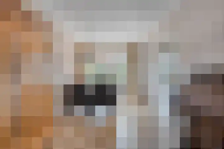 Martinus Nijhoffstraat 10 Biggekerke thumbnail 13