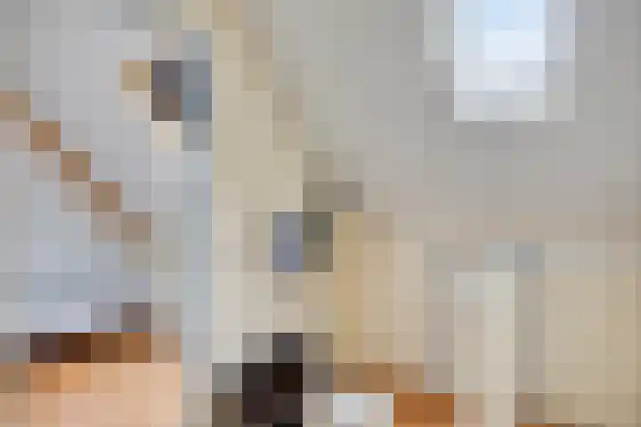 Martinus Nijhoffstraat 10 Biggekerke thumbnail 23