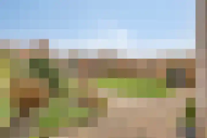 Martinus Nijhoffstraat 10 Biggekerke thumbnail 29
