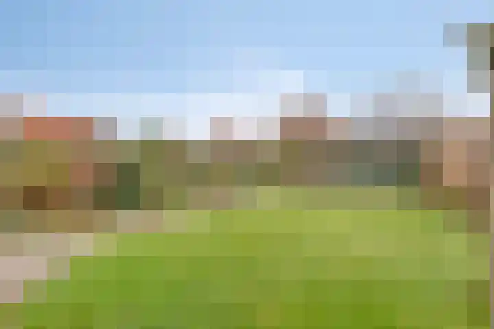 Martinus Nijhoffstraat 10 Biggekerke thumbnail 31