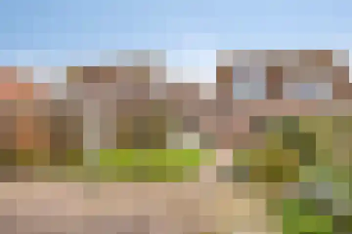 Martinus Nijhoffstraat 10 Biggekerke thumbnail 32