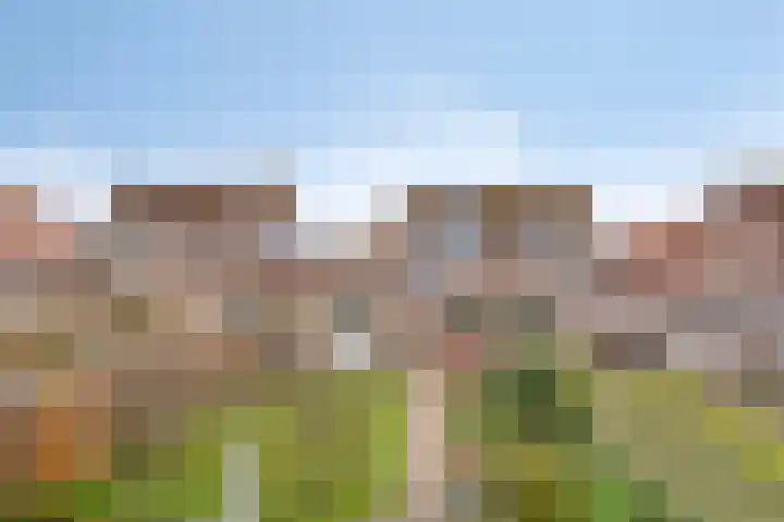 Martinus Nijhoffstraat 10 Biggekerke thumbnail 33