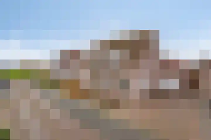 Martinus Nijhoffstraat 10 Biggekerke thumbnail 34
