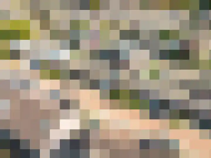 Martinus Nijhoffstraat 10 Harderwijk thumbnail 34